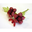 Fiori rossi con pendenti