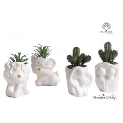 Bomboniera Vaso Animaletto con Pianta
