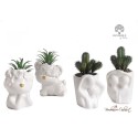 Bomboniera Vaso Innamorati con Pianta Cactus