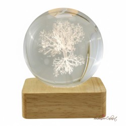 Bomboniera Lampada Globo grande Albero su Base Quadrata