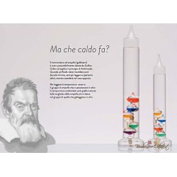 Bomboniera Solidale Termometro Galileano Grande