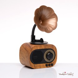 Bomboniera Radio Speaker Bluetooth Grammofono