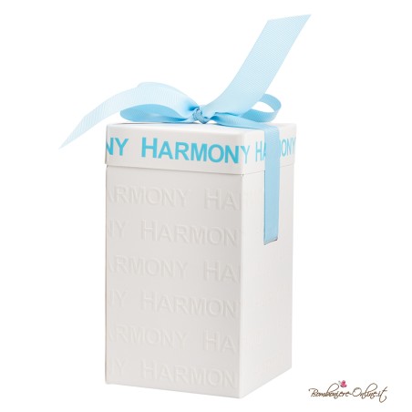 Bomboniera Carillon in Porcellana Elefantino Celeste con Corona