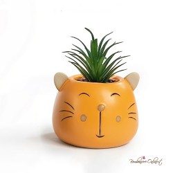 Bomboniere Vasetto con Piantina Testa Gatto