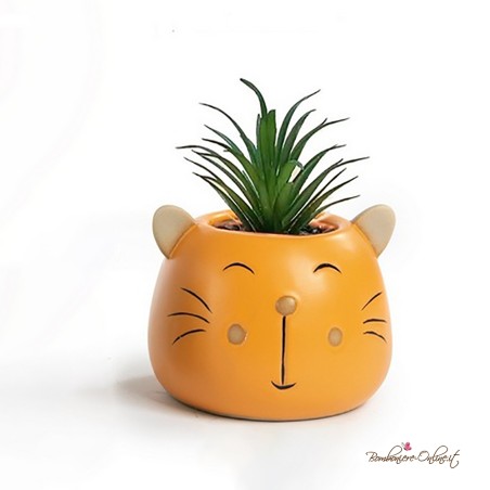 Bomboniere Vasetto con Piantina Testa Gatto