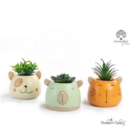 Bomboniere Vasetto con Piantina Testa Orso