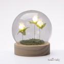Bomboniera Lampada Globo Piccola Tulipani