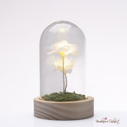 Bomboniera Lampada Cilindro Fiori