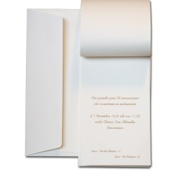 Partecipazione nastro organza